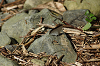 camp27 (253)_thumb.png